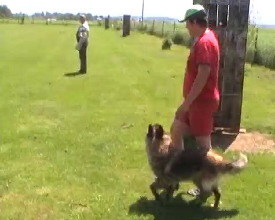 Cassandre-IPO1- Abt.C