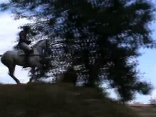 Pro 2 CCE Lattes 2010