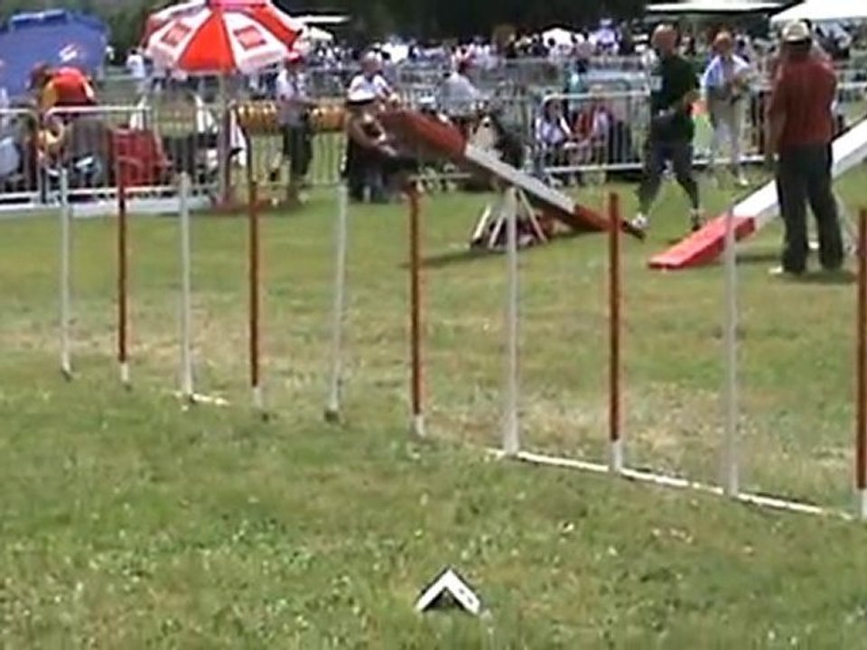 CANAILLE AGILITY M2 2D ANNONAY 2010