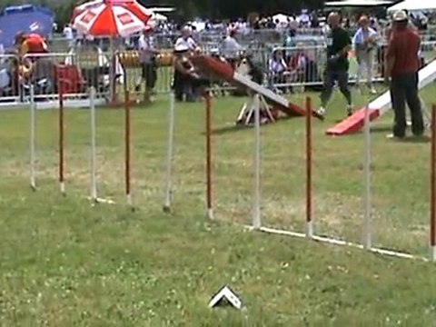 CANAILLE AGILITY M2 2D ANNONAY 2010