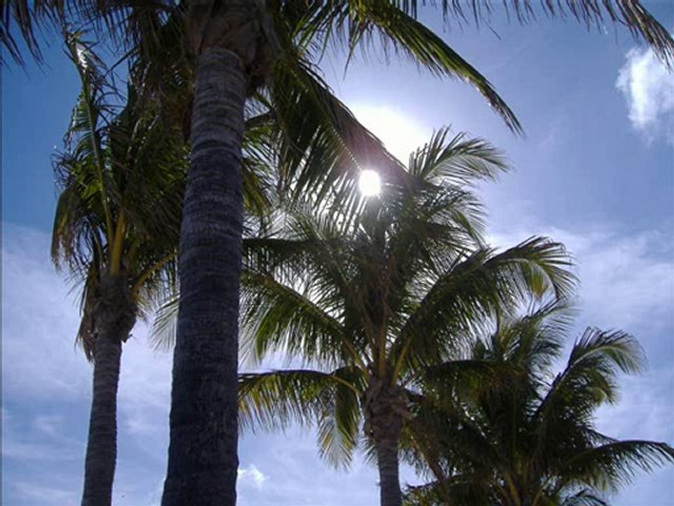 FLORIDA'S BEST KEPT SECRET (FBKS) - SUNSHINE MAN - 1976