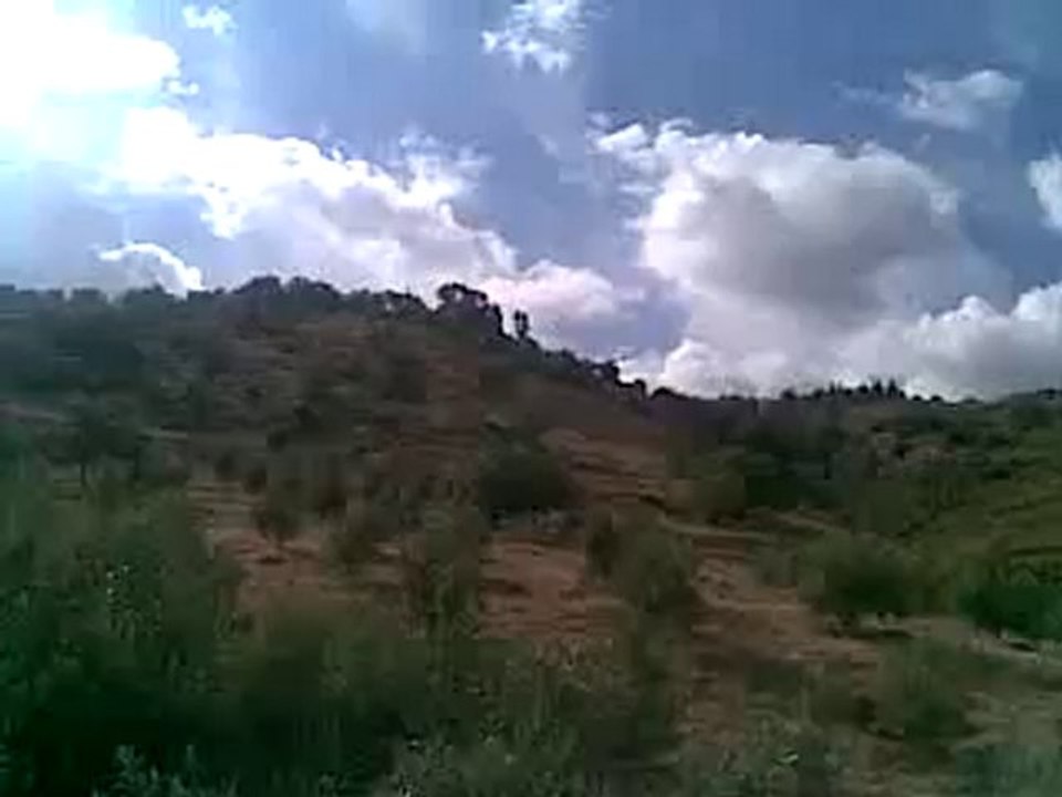 Talilite3  NADOR