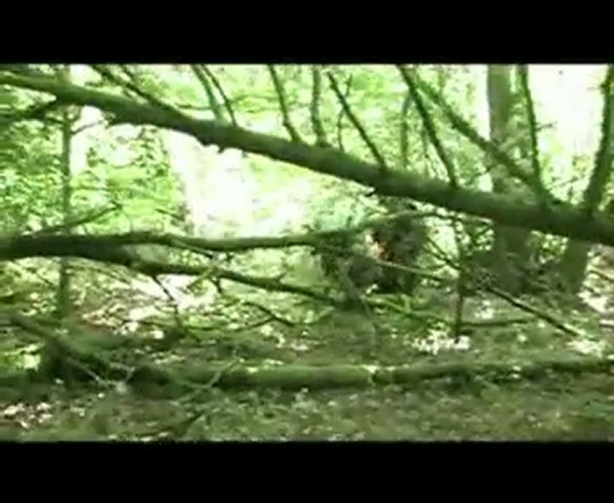 Airsoft (87) 12/13 juin 2010 OL.CO.PSY By Olborns