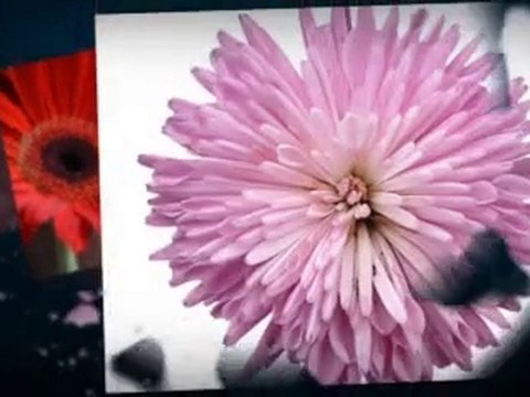 Parfum Maroc - Essences de Parfums Industrielles