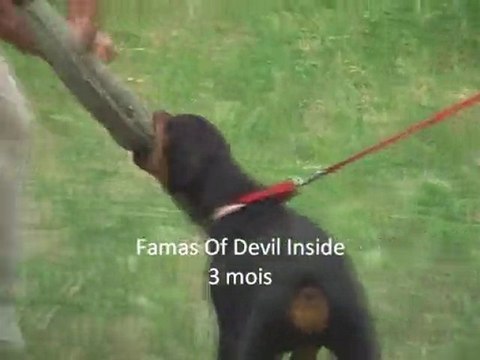 Famas Of Devil Inside deuxième entrainement