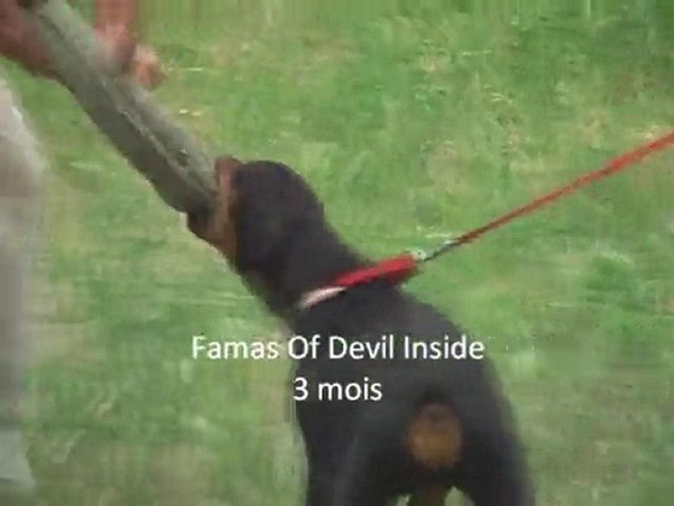 Famas Of Devil Inside deuxième entrainement