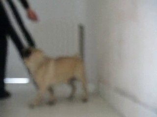 saut au dessus de la jambe