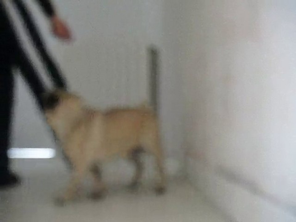 saut au dessus de la jambe