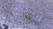 01-01