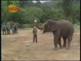 raymond domenech entraineur de l'equipe d'asie en sept 2010