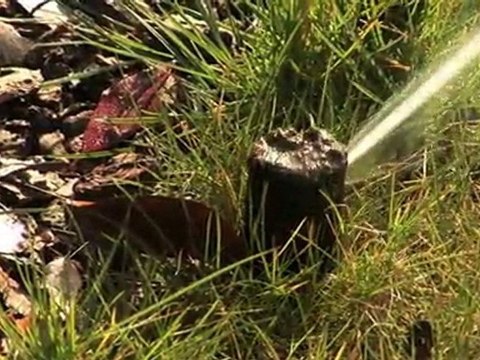 CEPAGE, paysagiste pour jardins et espaces verts à Athée sur