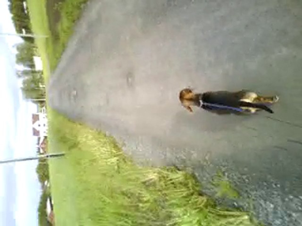 Regn och dåligt väder