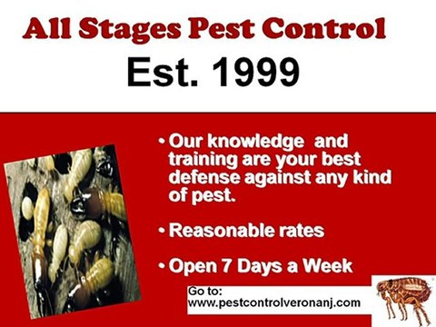 Verona Ant Mice Rat Exterminators NJ