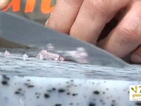 Ciseler une échalote - 750 Grammes