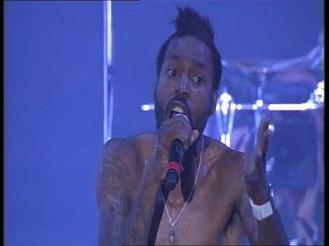 Skip The Use à Solidays