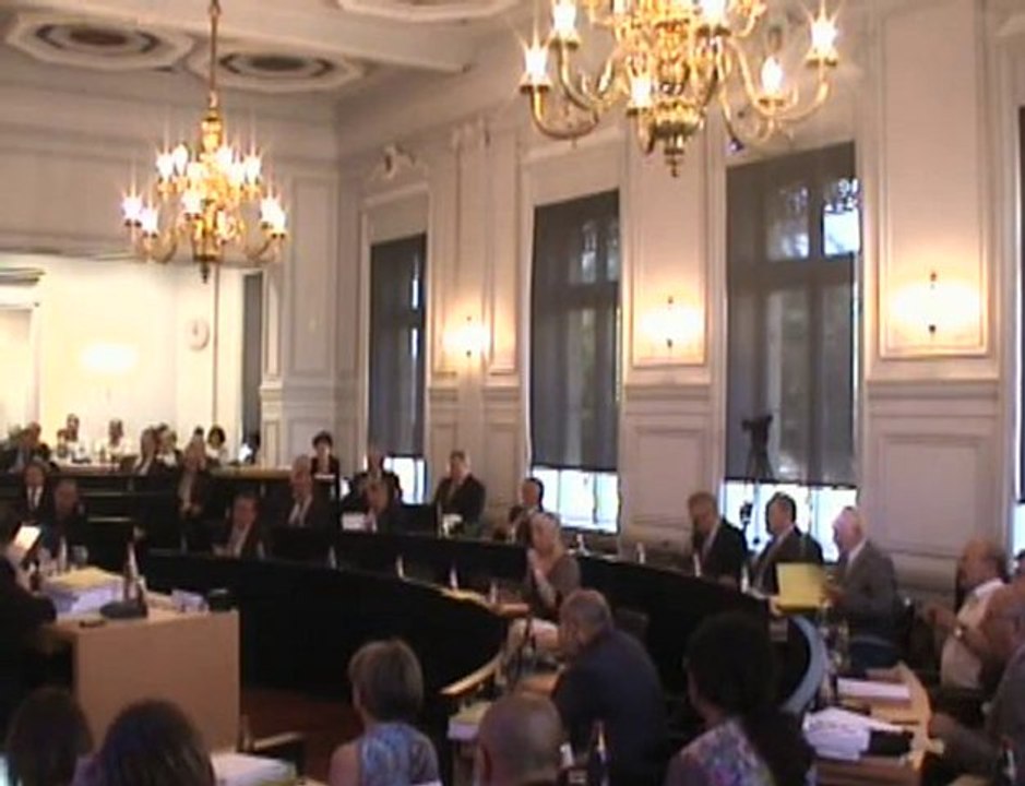 Vote du Budget Supplémentaire 2010 - 23 juin 2010