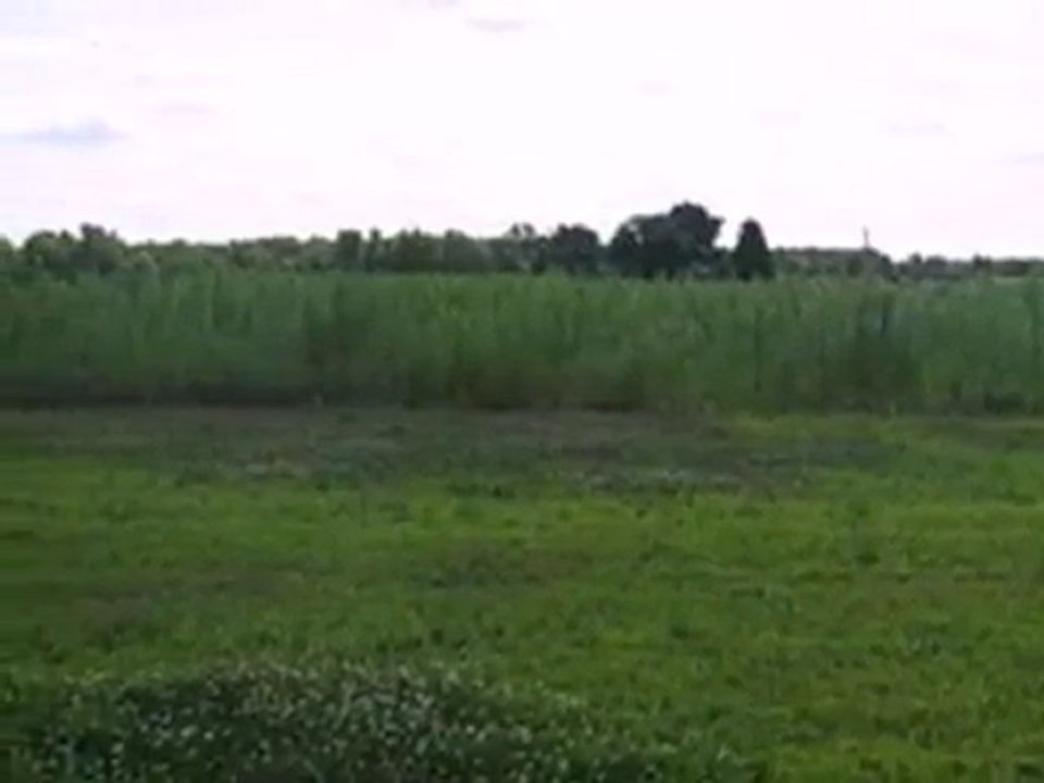 Homes for Sale - 0 Meadow Ln - Wheatfield, IN 46392 - Coldwe