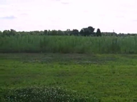 Homes for Sale - 0 Meadow Ln - Wheatfield, IN 46392 - Coldwe