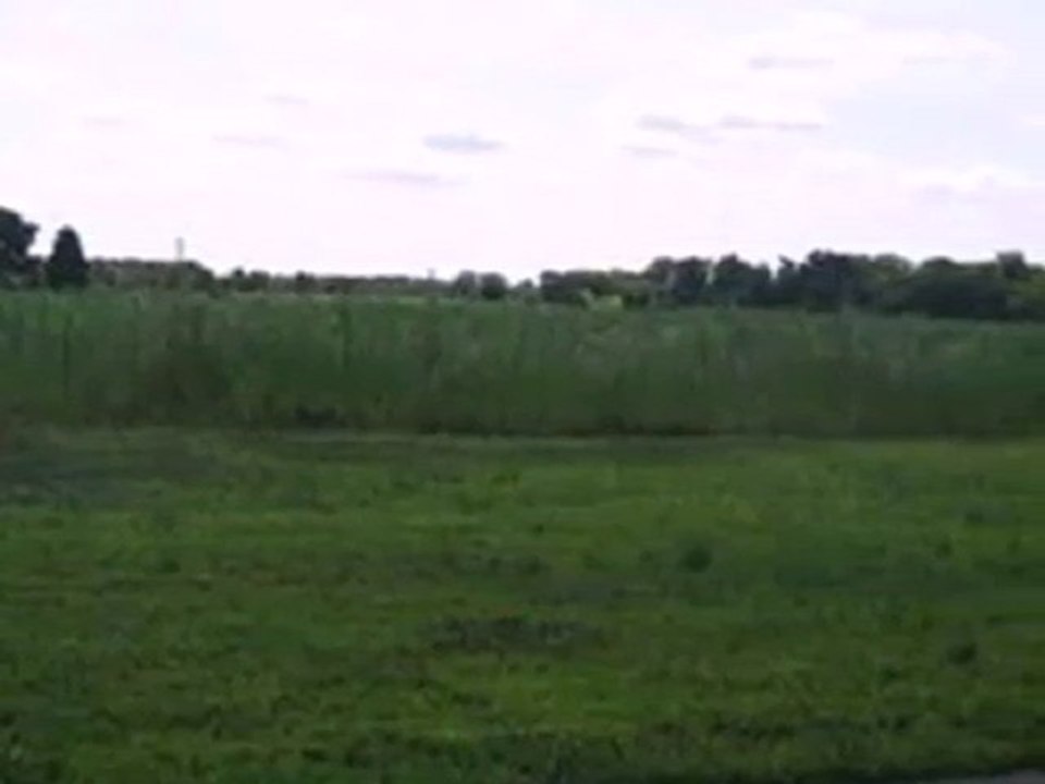 Homes for Sale - 0 Meadow Lane St - Wheatfield, IN 46392 - C