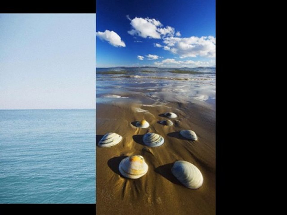 Find A Marine VHF Handheld Radio for Your Boat and More