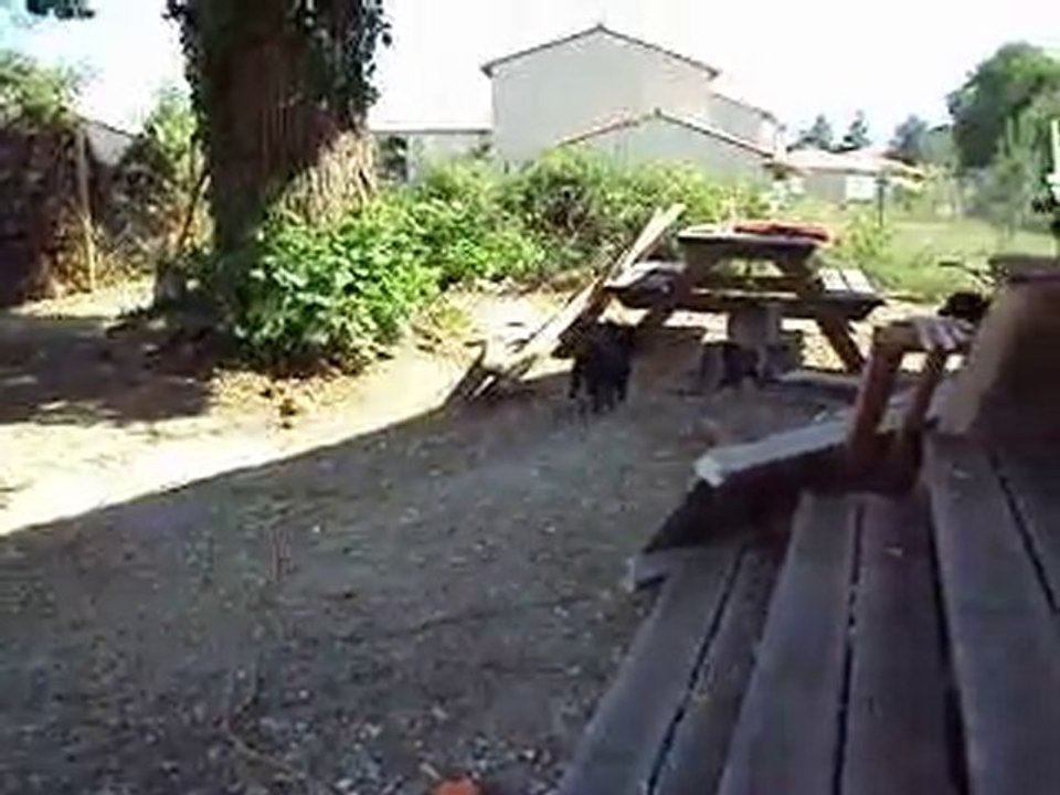 MOV01354