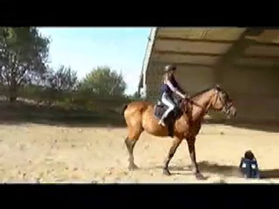 Gwen Et Perlani