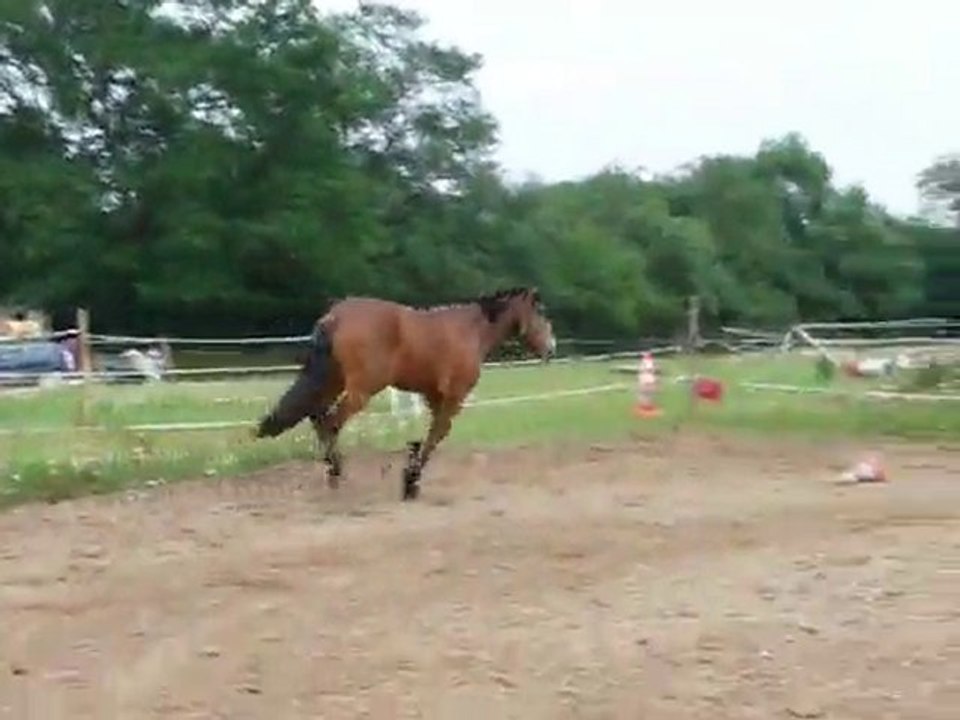 1ere carriere unter au galop