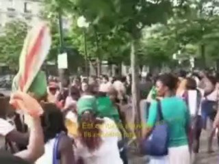 allez Les éléphants !!!!