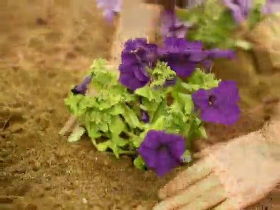 Gardens Hollywood - Garden Of Eva Landscape Design Group