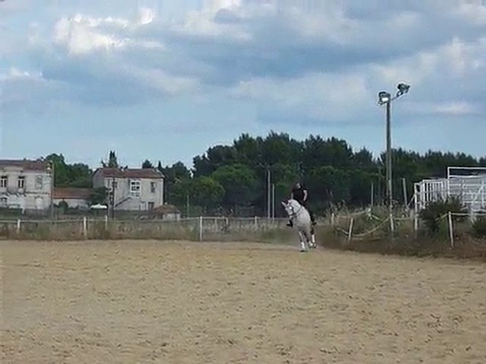 P1020641