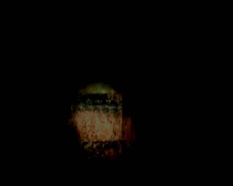 Fear