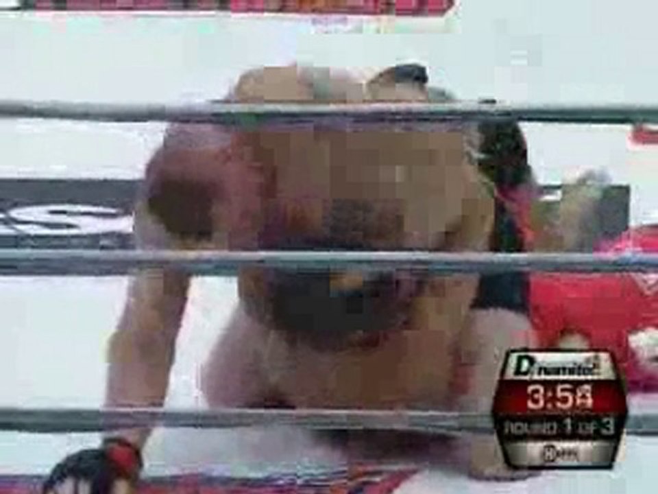 UFC 116 Carwin VS Lesnar