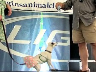 Check out Taste of Randolph this weekend