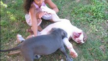 ZEUS & SYRAH