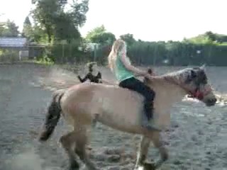 Apprentissage avec caline