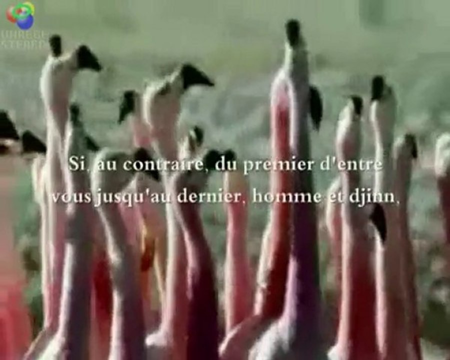 Hadith: "Le pardon de Dieu"