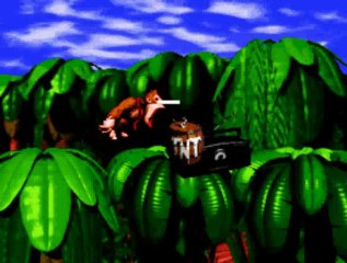 Hellcat présente : Donkey Kong Country (Super NES)