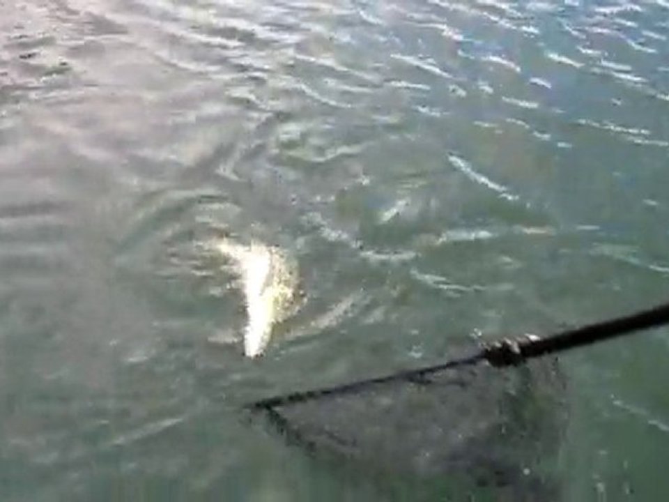 FAKO & DOGAN SUDAK-TURNA 17.06.2010 008