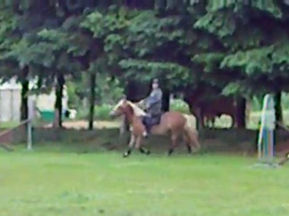 IMGP0762