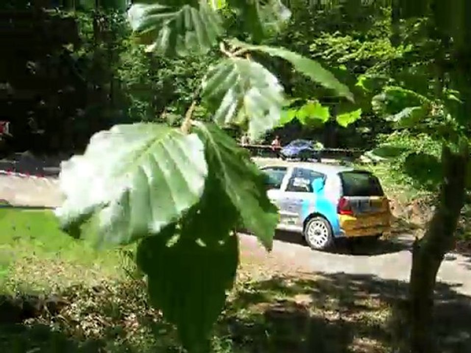 rallye luronne faivre lambert 2010