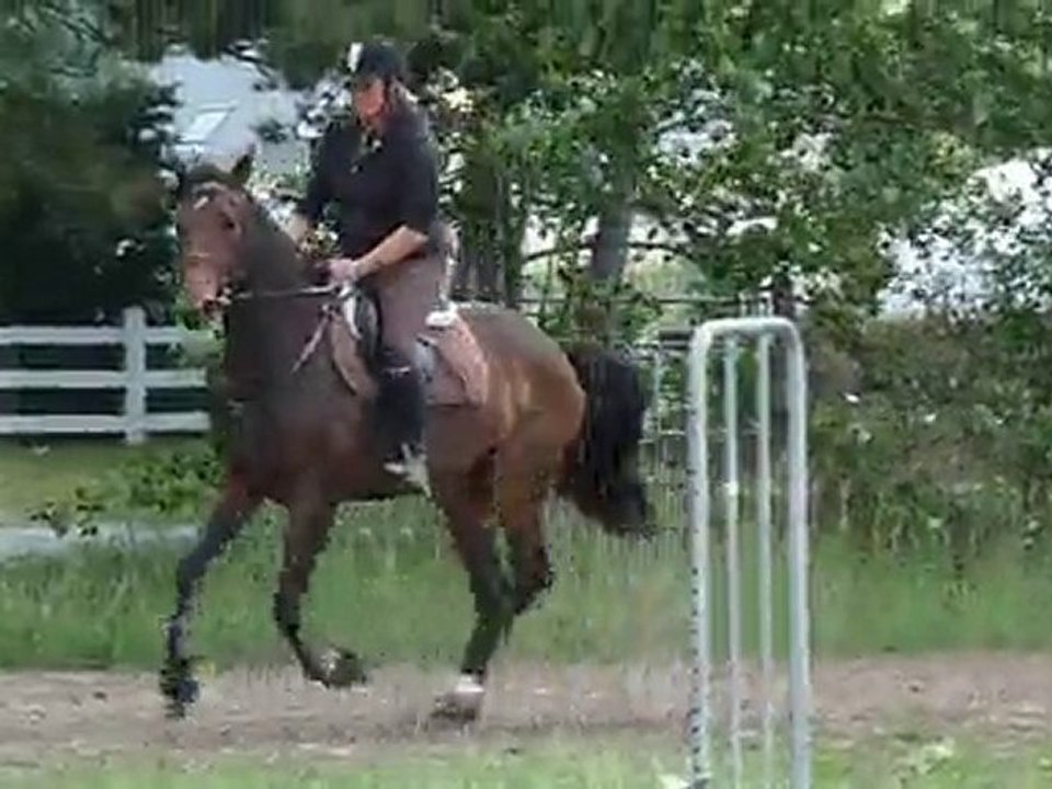 rodape galop