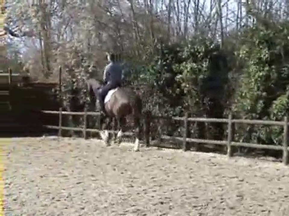 Don galop