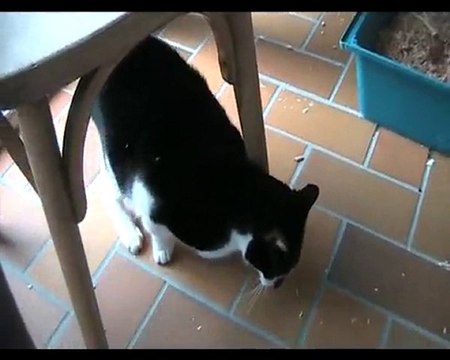 Roro dit Romeo - 26 mai 2010