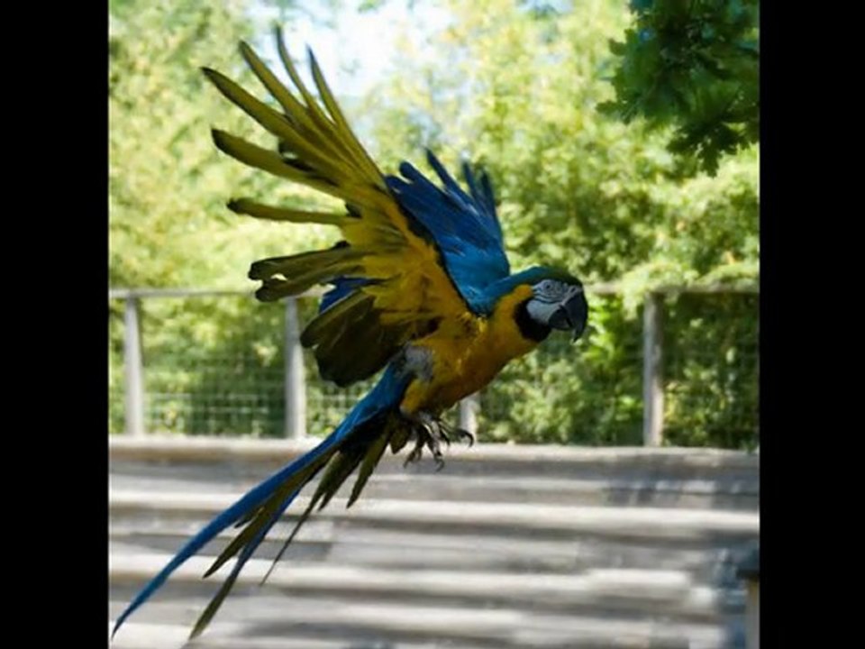 Zoo de Pessac