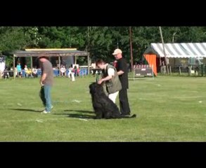 brevet ring pour ALF