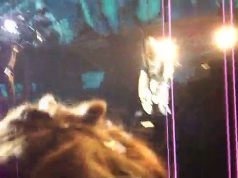 Tokio Hotel Paris 14.04.2010 Screamin'