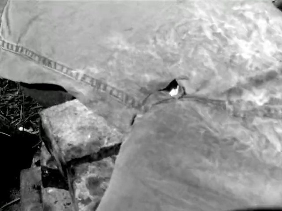 An Evil Town Music Video