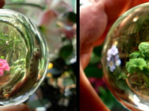 through a crystal ball /au travers d'une boule de cristal