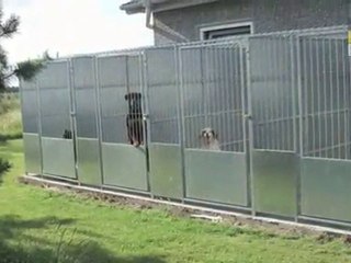 Hundekennel Midtjylland Esbjerg N Løvmosens Hundepension