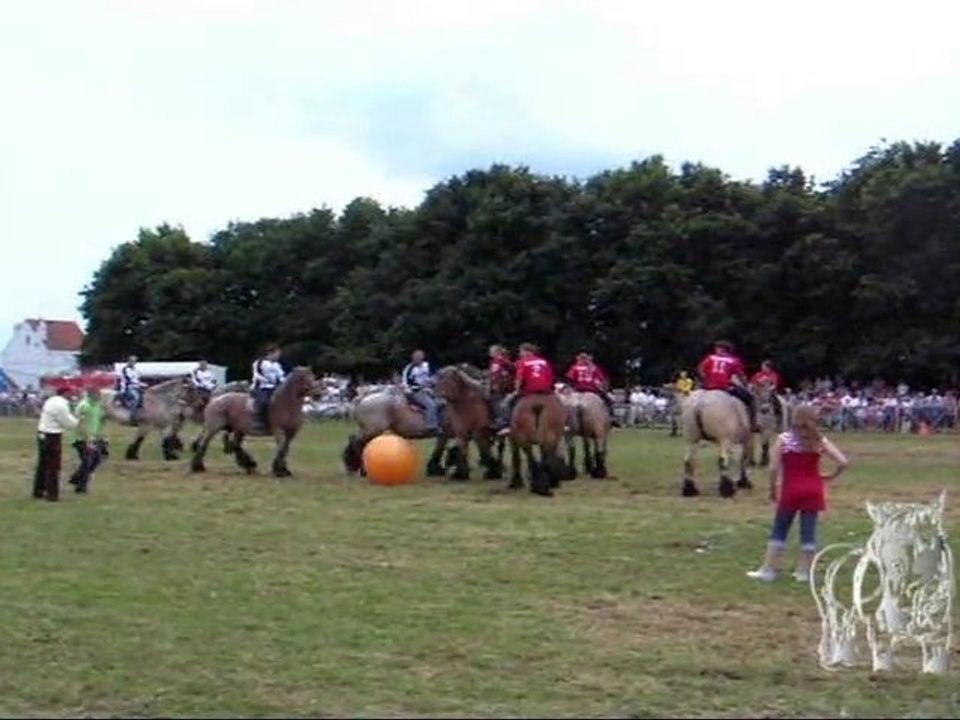 Coupe du monde de football (des chevaux de trait)